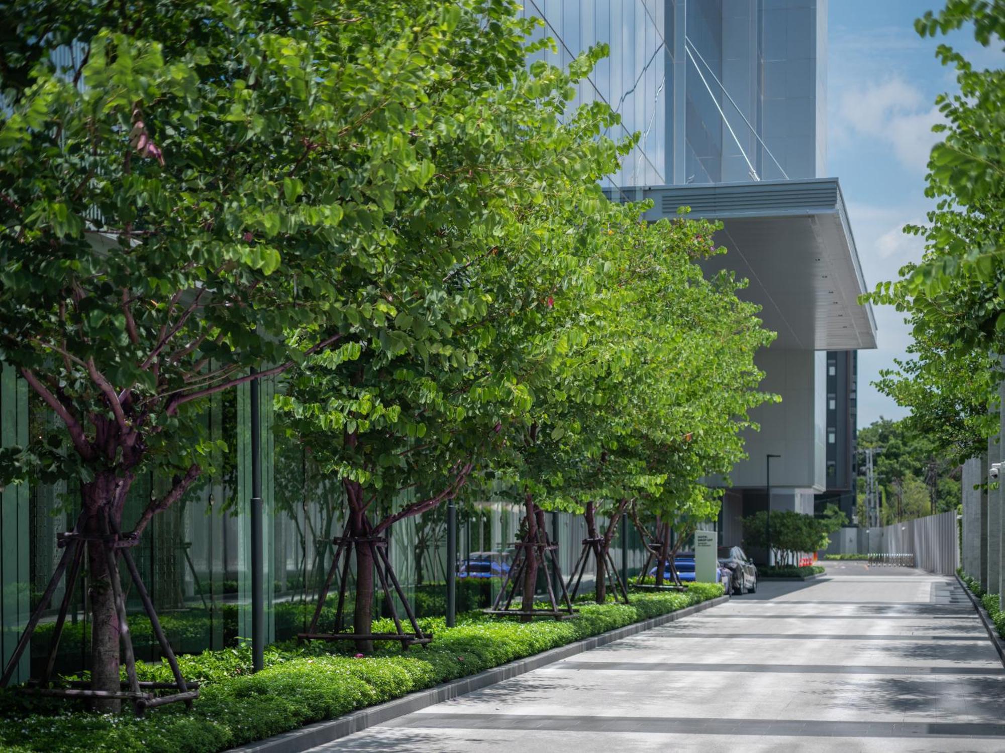 Eastin Grand Hotel Phayathai 방콕 외부 사진 The park